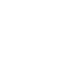 The APIS