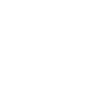 NextDAO